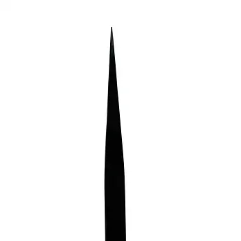 Пінцет Plasma Black Straight
