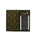 Вії Russian Volume Premium 2