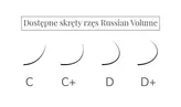Віялові вії Russian Volume 2D 4