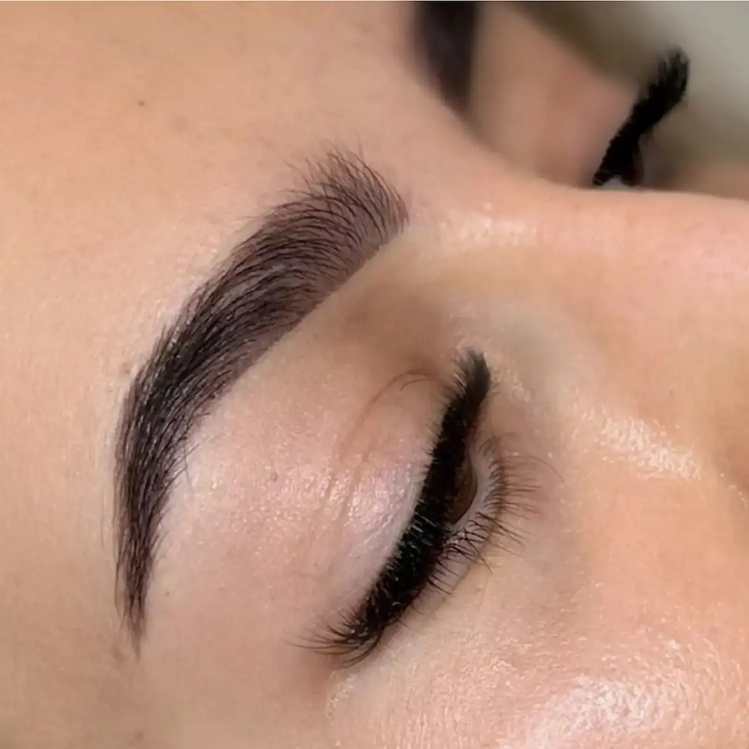 Стилізація брів пудровою хною