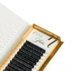 Вії L Lashes