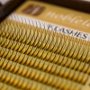 Вії Y Lashes
