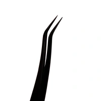 CURVED [ukr]